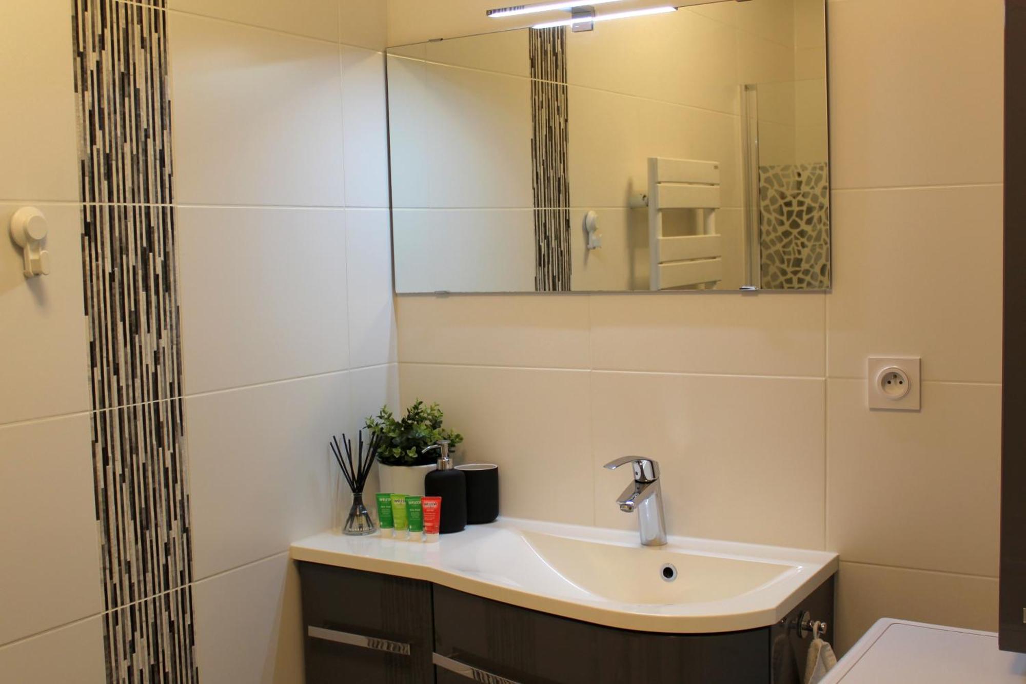 Апартаменты A Few Steps From Basel With Balcony And Free Private Parking Сен-Луи Экстерьер фото